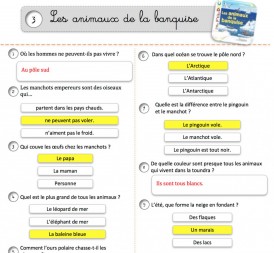 les animaux de la banquise